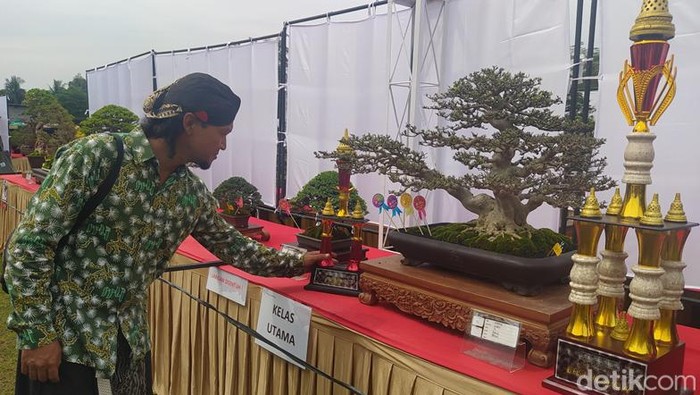 Suasana pameran dan kontes bonsai nasional di Lapangan Tuksongo, Kecamatan Borobudur, Kabupaten Magelang, Kamis (9/6/2022).