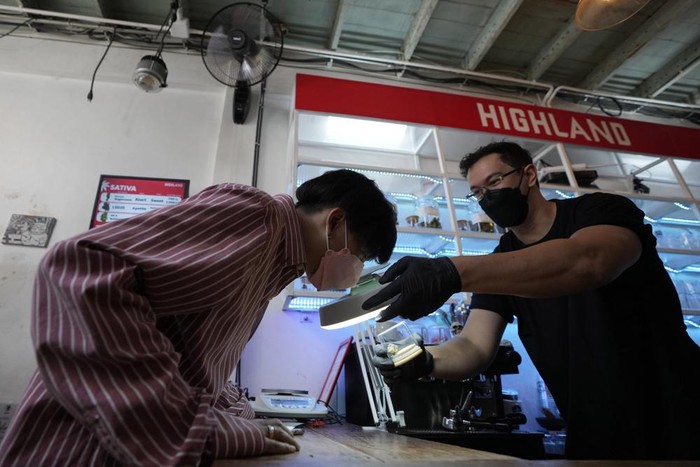 Thailand Legalkan Ganja, tapi Tak Anjurkan Rokok