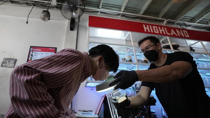 Thailand Legalkan Ganja, tapi Tak Anjurkan Rokok Thailand Legalkan Ganja, tapi Tak Anjurkan Rokok