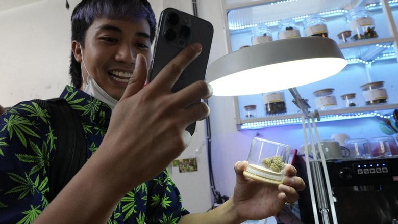 Thailand Legalkan Ganja, tapi Tak Anjurkan Rokok Thailand Legalkan Ganja, tapi Tak Anjurkan Rokok