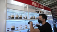 Sementara staf tengah memilih ganja untuk pelanggan. (Sakchai Lalit/AP)