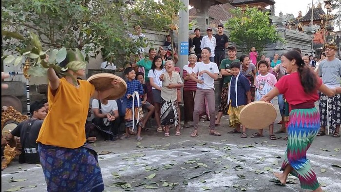 Warga Banjar Dinas Langsat, Desa dan Kecamatan Rendang, Kabupaten Karangasem, Bali, memiliki tradisi unik yang disebut Grudug Langsat.