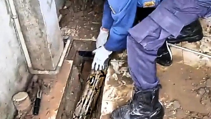 Damkar Evakuasi Ular Sanca 4 Meter yang Masuk Saluran Air ( Akun Twitter Humasjakfire)