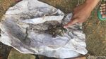 Penampakan Makam Bayi di Riau Terbongkar, Tali Pocong Jenazah Hilang