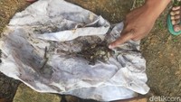 Selain kain kafan, polisi menemukan tali pengikat kain kafan di atas makam satu helai. Namun tali pengikat pengikat kepala atau tali pocong hilang.  