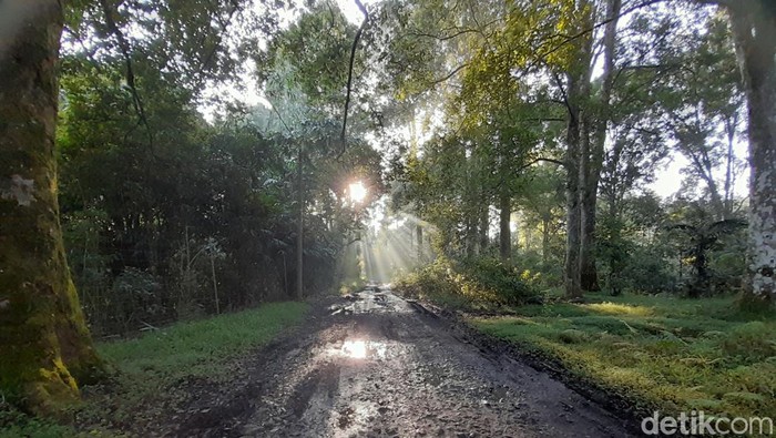 Jalan menuju Kampung Cigumentong
