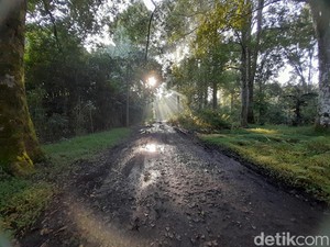 Kala Warga Kampung Cigumentong Sumedang Bertemu Macan