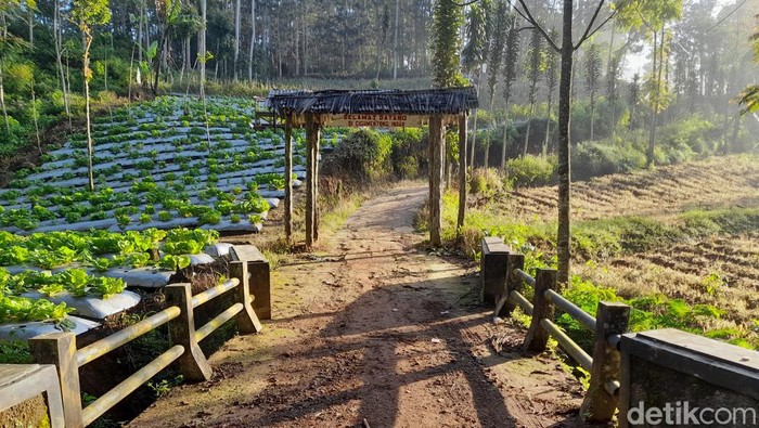 Kampung Cigumentong, Sumedang
