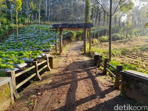Menelisik Sejarah Cigumentong, Kampung Terpencil di Sumedang