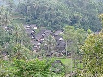 Pilu di Balik Kampung Naga Tasikmalaya, Terancam Banjir-Harga Ijuk Tinggi