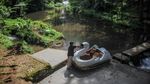 Sensasi Berenang di Tengah Hutan Pinus Sumedang, Adem Banget