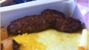 Tampilan 10 Makanan di Pesawat Ini Dijamin Bikin Malas Makan