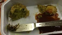 Kalau ini pasti mimpi buruk setiap penumpang di pesawat. Penumpang malang ini cukup terkejut, setelah menemukan bangkai kecoa yang ada di dalam menu makanan disajikan dalam penerbangannya. Foto: Site News/Pool