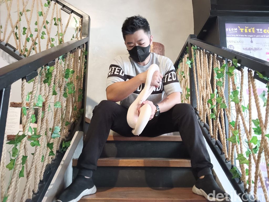 Kafe KOHI Medan dihiasi dengan berbagai reptil