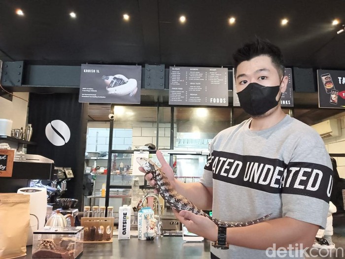 Kafe KOHI Medan dihiasi dengan berbagai reptil