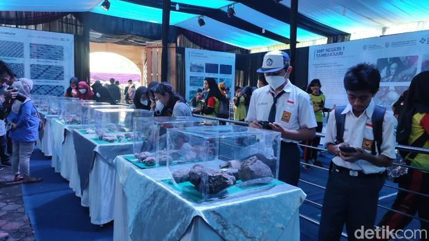 Koleksi berbagai fosil hewan purba dan peninggalan manusia purba ditampilkan di Museum Tambaksari dan SMPN 1 Tambaksari.