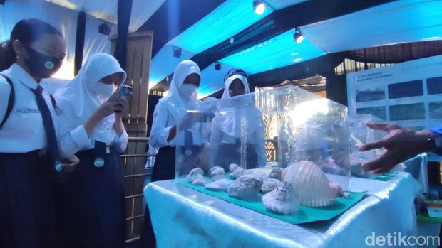 Koleksi berbagai fosil hewan purba dan peninggalan manusia purba ditampilkan di Museum Tambaksari dan SMPN 1 Tambaksari.