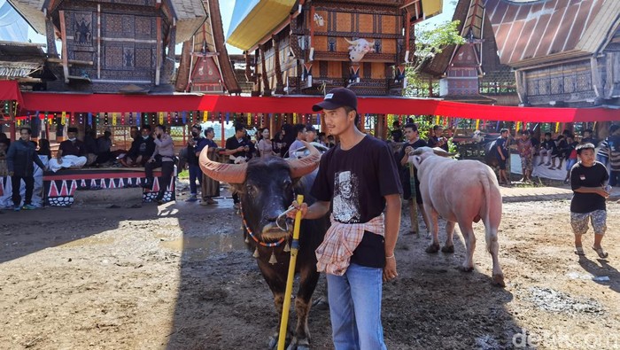 Pesta rambu solo yang digelar warga muslim di Toraja