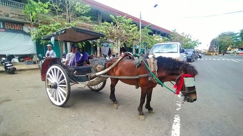 Sisa dokar yang masih beroperasi di dekat Pasar Umum Negara, Jembrana, Minggu (12/6/2022)