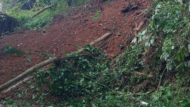 Tanah longsor di Palopo membuat akses jalan ke Toraja Utara terputus (Dok. Istimewa).