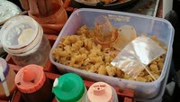 Di Warung Bang Makmun daerah Menteng Dalam, Jakarta Selatan, ada menu Cilor Maklor Nadia yang digemari banyak orang. Sudah tersedia di aplikasi online. Kisaran harganya dari Rp 5.000. Foto: Pool/Site/Pinterest