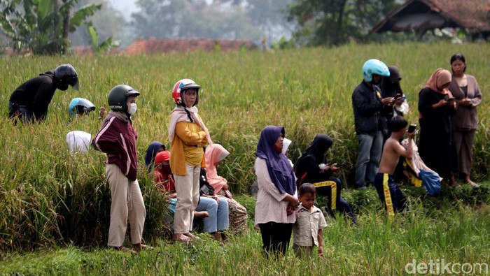 Begini Jadinya Saat Warga Saksikan Pemakaman Eril dari Sawah Prosesi pemakaman Emmeril Kahn Mumtadz (Eril) menarik perhatian publik. Tak sedikit warga yang melihat pemakaman jenazah Eril dari area persawahan. Ini fotonya.