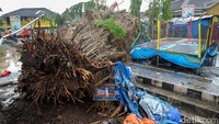 Kabid Kedaruratan dan Logistik BPBD Sleman Bambang Kuntoro menjelaskan sesaat sebelum pohon tumbang, kawasan seputaran kantor Pemkab Sleman diguyur hujan lebat disertai angin.