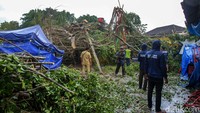 Selain di Lapangan Denggung, pohon tumbang juga terjadi di Lapangan Pemda Sleman. Adapun dari laporan, pohon beringin tumbang menimpa wahana fitnes.