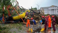 Hingga saat ini belum ada laporan korban jiwa akibat tumbangnya pohon beringin tersebut.