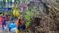 Tim TRC BPBD Sleman tampak melakukan pemotongan pohon yang tumbang itu.