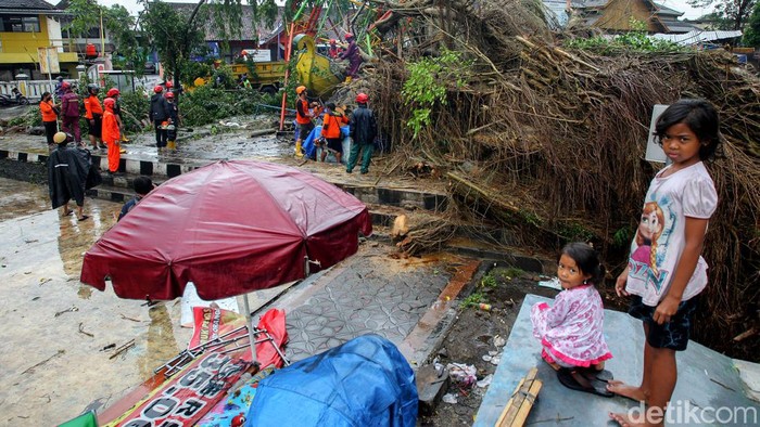 Bruk! Penampakan Pohon Beringin Tumbang di Sleman Yogyakarta Hujan deras disertai angin menyebabkan pohon beringin tumbang di Lapangan Denggung, Sleman, Yogyakarta. Diketahui, tak ada korban jiwa akibat pohon tumbang itu.