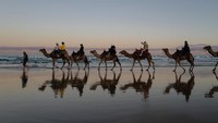 Bagaimana, tertarik untuk menaiki unta menyusuri pantai di Australia? (James D. Morgan/Getty Images).