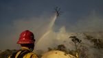 Reaksi Cepat AS Padamkan Kebakaran Hutan di California