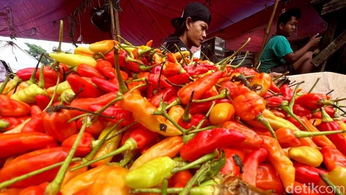 Harga cabai rawit merah terus merangkak naik. Harga cabai rawit merah di Bekasi bahkan menembus kisaran Rp 120 ribu per kilogram.