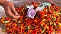 Akibatnya, harga cabai di pasaran pun merangkak naik hingga mencapai ratusan ribu rupiah per kilogram. Di Pasar Tradisional, Kota Bekasi, harga cabai rawit merah menembus Rp 120 ribu per kilogram.
