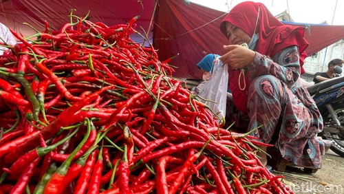 Harga cabai rawit merah terus merangkak naik. Harga cabai rawit merah di Bekasi bahkan menembus kisaran Rp 120 ribu per kilogram.