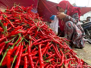 Harga Cabai Merah di Denpasar Bertahan Tinggi Rp 52 Per Kilo