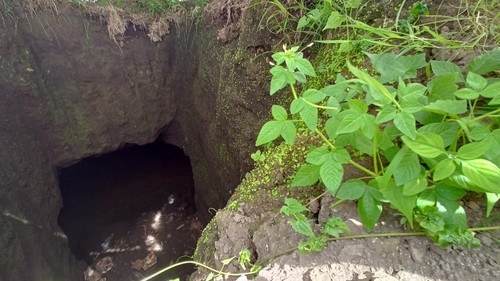 Gua yang ditemukan pada lahan warga di Banjar Dalem, Desa Pejaten, Kecamatan Kediri.