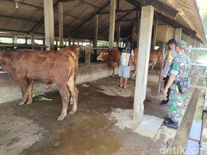 Lamongan Daerah Wabah PMK, Jual Beli Hewan Kurban Disarankan di Kandang