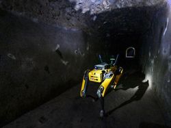 Robot Anjing Jadi Penjaga Situs Sejarah Pompeii, Cerdas Banget