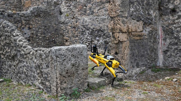 Ini Dia Robot Anjing Penjaga Situs Sejarah Pompeii, Canggih Banget Ini Dia Robot Anjing Penjaga Situs Sejarah Pompeii, Canggih Banget