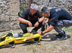 Robot Anjing Jadi Penjaga Situs Sejarah Pompeii, Cerdas Banget