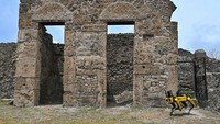 Ini Dia Robot Anjing Penjaga Situs Sejarah Pompeii, Canggih Banget