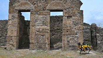 Pompeii adalah kota yang tertimbun abu dari letusan Gunung Vesuvius pada tahun 79 Masehi. Nah, kota ini pun seringkali menjadi sasaran pencuri benda kuno, yang tak segan sampai menggali lorong bawah tanah. Robot anjing penjaga yang diberi nama Spot kini ditugasi menjaganya mulai, Kamis (9/6/2022).