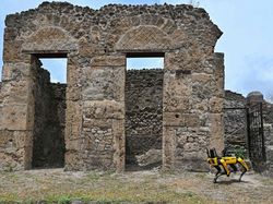 Robot Anjing Jadi Penjaga Situs Sejarah Pompeii, Cerdas Banget