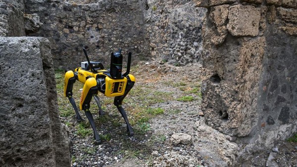 Robot Anjing Jadi Penjaga Situs Sejarah Pompeii, Cerdas Banget