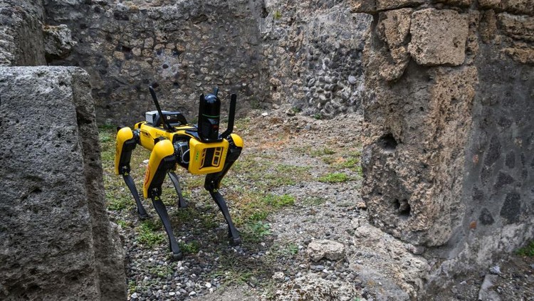 Ini Dia Robot Anjing Penjaga Situs Sejarah Pompeii, Canggih Banget