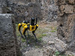 Robot Anjing Jadi Penjaga Situs Sejarah Pompeii, Cerdas Banget