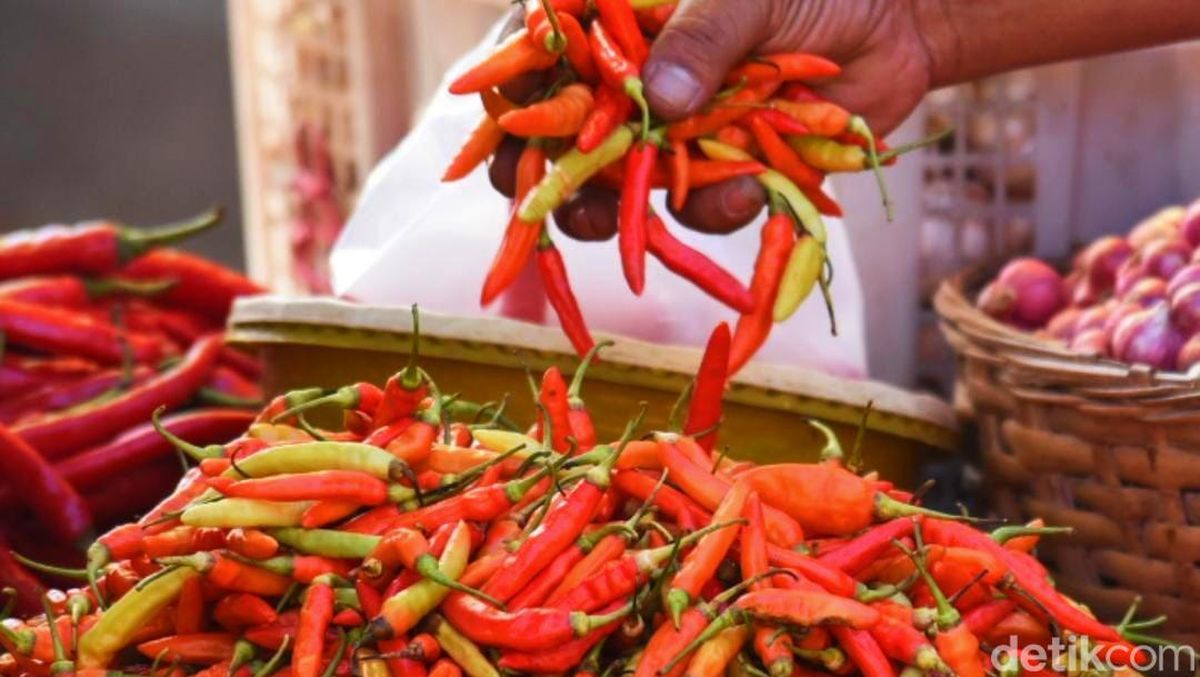 Harga Cabai Naik Drastis hingga Rp 110 Ribu: Bagaimana Dampaknya bagi Masyarakat 