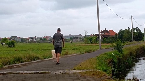 Obyek wisata jogging track di Subak Intaran Barat, Desa Sanur Kauh, Kota Denpasar.